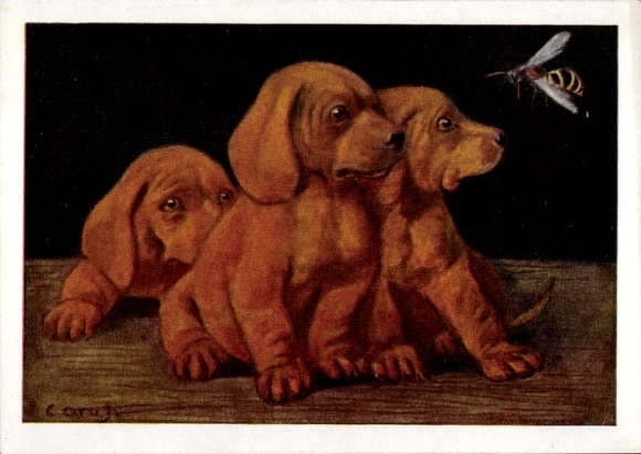 Künstler Ak Carus, Seid gut zu den Tieren, Dackel, Bienen