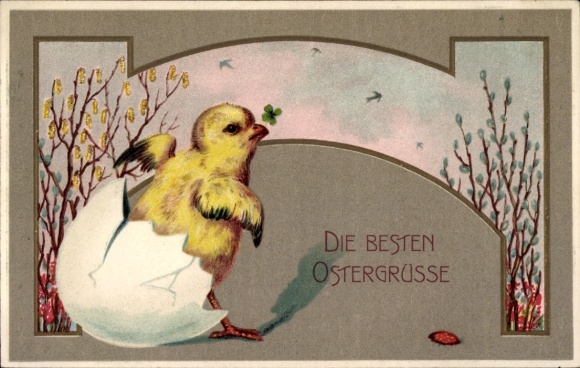 Ak Frohe Ostern, Küken, Eierschale, Kleeblatt, Weidenkätzchen