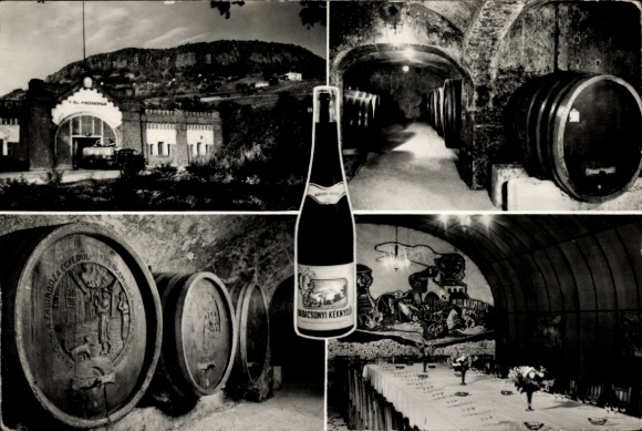 Ak Badacsonylábdihegy Ungarn, Ungarische Staatskellerei, Weinflasche, Fässer