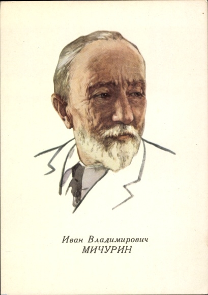 Ak Botaniker Iwan Wladimirowitsch Mitschurin, Portrait