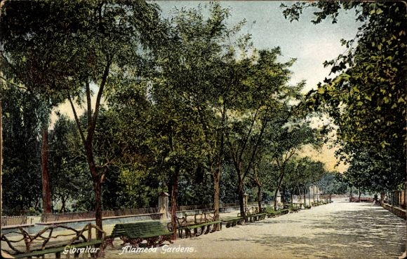 Ak Gibraltar,  flameda Gardens, Bäume, Weg, Bänke