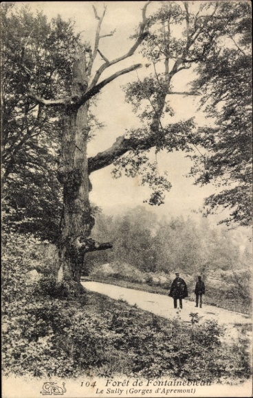 CPA Forêt de Fontainebleau, Le Sully, Gorges d'Apremont