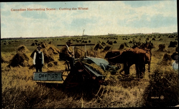 Ak Kanada, Ernteszene, Weizenernte, Mähmaschine