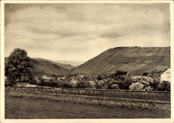 Ak Büdesheim Bingen am Rhein, Weinbergslage Scharlachberg