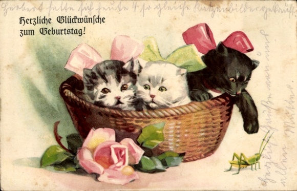Ak Glückwunsch Geburtstag, Rose, Katzen