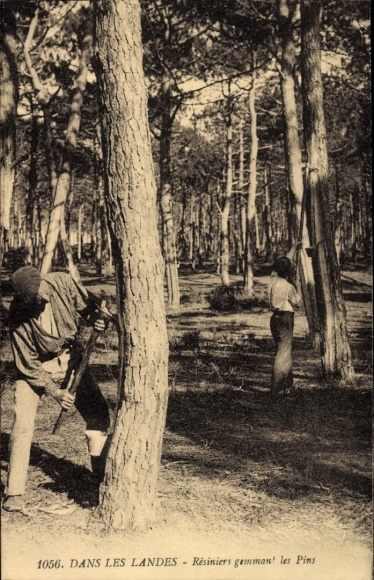 Ak In den Landes, Resiniers gemmant les Pins
