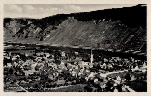 Ak Trittenheim an der Mosel, Luftaufnahme von Trittenheim, Mosel, Häuser, Kirche, Weinberge