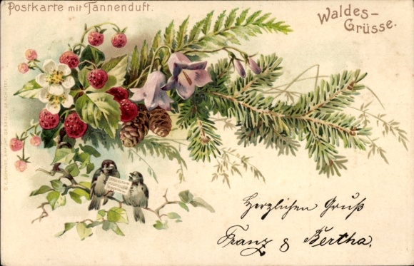 Litho Waldesgrüße, Vögel, Erdbeeren, Tannenzweige, Blüten