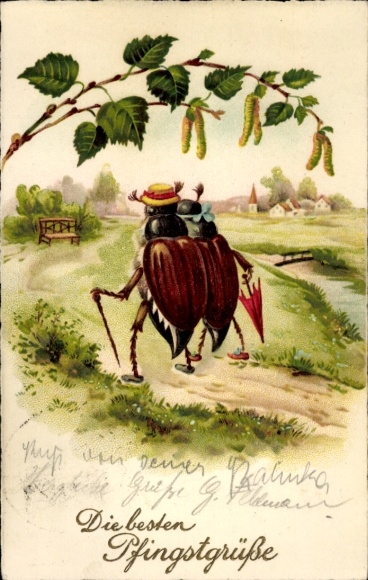 Ak Frohe Pfingsten, Maikäferpaar, Linde, Spaziergang