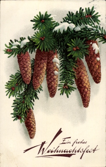 Ak Frohe Weihnachten, Tannenzapfen