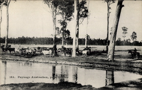 Ak Sydney Australien, Paysage Australien