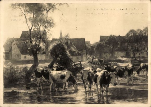 Künstler Ak Moeller, Arnold, Kühe im Dorfbach