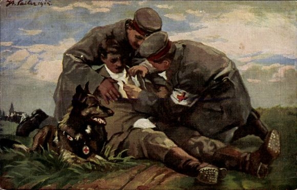 Künstler Ak Sailer, Der Sanitätshund im Felde, Verwundeter wird verbunden, Rotes Kreuz