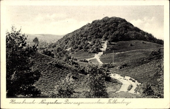 Ak Hamburg Harburg Neugraben, Falkenberg