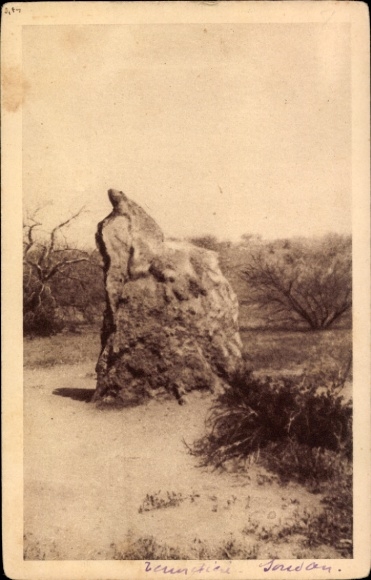 Ak Menaka Mali, Termitenbau