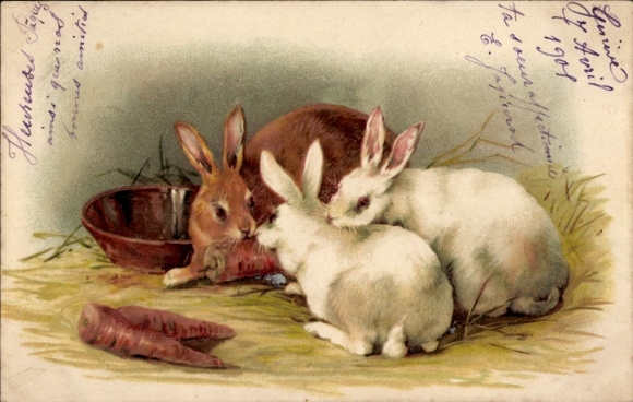 Litho Kaninchen beim Essen, Möhren, Karotten