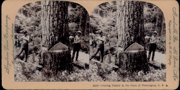 Stereo Foto Washington USA, Holzfäller bei der Arbeit, Keystone View Co.