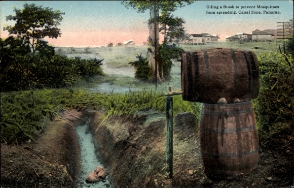 Ak Panamakanal Panama, Ölfass, Bach,  Mückenbekämpfung