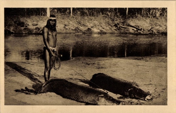 Ak Brasilien, Dominikanische Mission von Brasilien Ein Fisch aus der Araguaya: Der Pirarucou