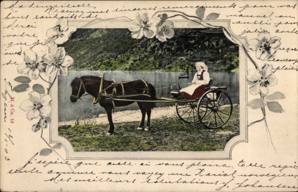 Passepartout Ak Frau in norwegischer Tracht, Pferdekutsche