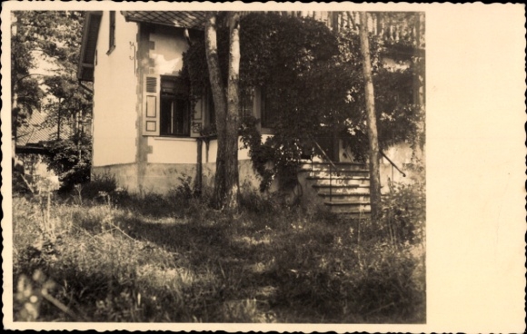 Foto Ak Villa im Waldpark, Seitenansicht