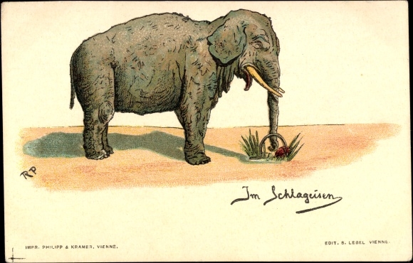Künstler Litho Im Schlageisen, Rüssel von Elefant in einer Falle, Philipp und Kramer