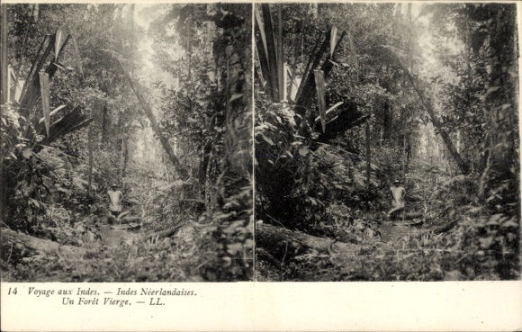 Stereo Ak Indonesien, Reise durch den Dschungel