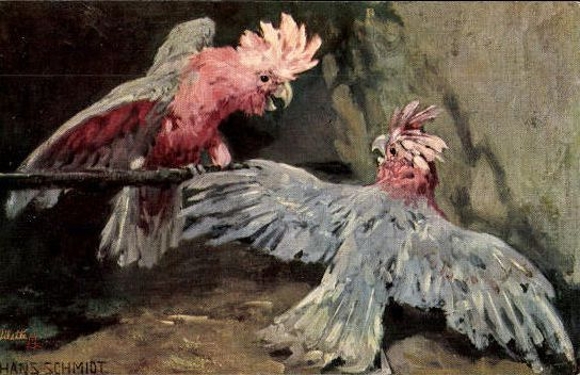 6 Künstler AK im Umschlag von Hans Schmidt, Gefiederte Freunde