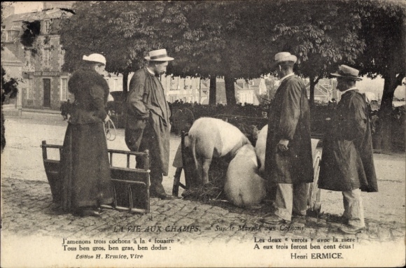 Ak Französische Landbevölkerung, Schweinemarkt