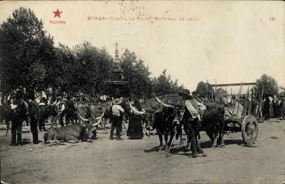 Ak Braga Portugal, Markt, Fuhrwerk