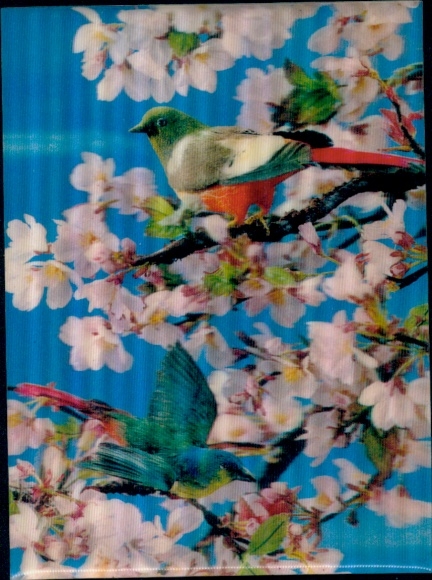 3-D Ak Vögel an blühendem Baum