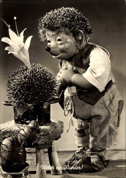 Ak Mecki der Igel, Welch ein Wunder, Blühender Kaktus