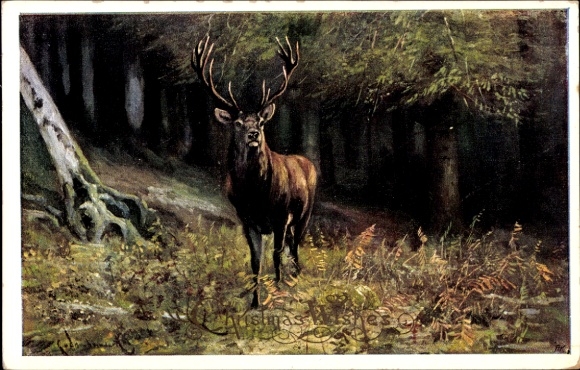 Ak Frohe Weihnachten, Hirsch am Waldrand