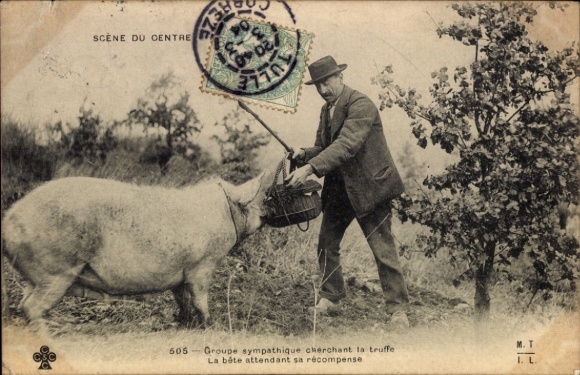 CPA Groupe sympathique cherchant la truffe, La bête attendant sa récompense