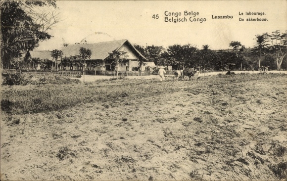 Ganzsachen CPA Lusambo Congo, Labourage