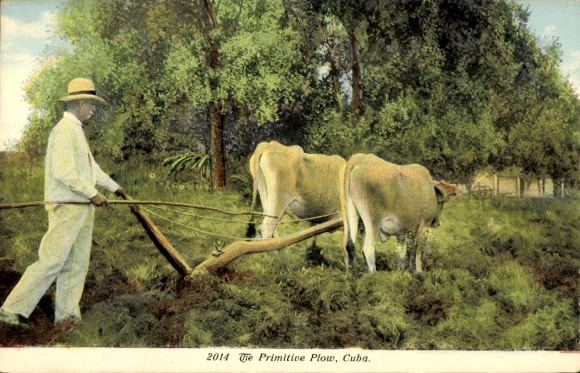 Ak Kuba, Primitive Plow