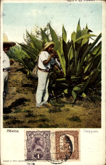 Ak Mexiko, Tlachiquero, Mexikaner beim Sammeln von Agavensaft