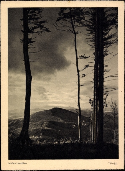 Ak Letztes Leuchten, Hügel, Bäume