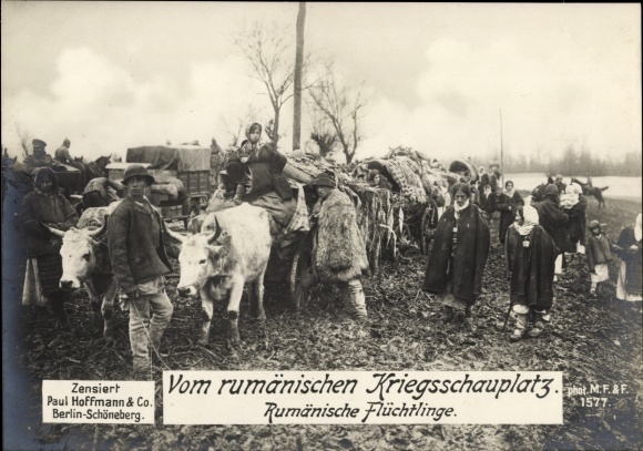 Ak Rumänischer Kriegsschauplatz, rumänische Flüchtlinge, Rinder, I WK