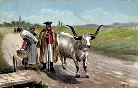 Künstler Ak Ungarische Bauern, Ochsen