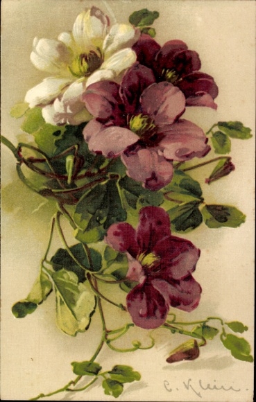 Künstler Ak Klein, Catharina, Blumen