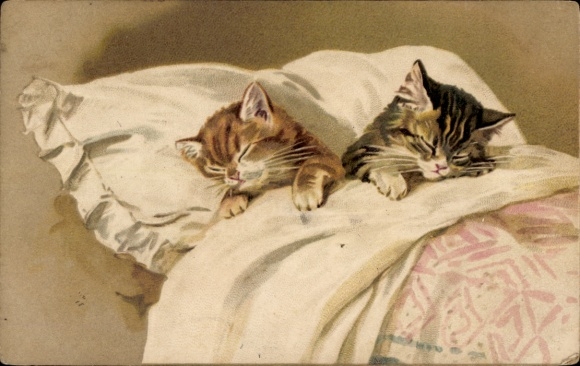 Litho Katzen am Schlafen in einem Bett