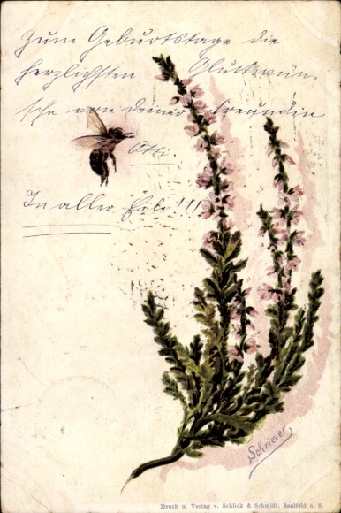 Künstler Ak Schriever, Hummel, Pflanze