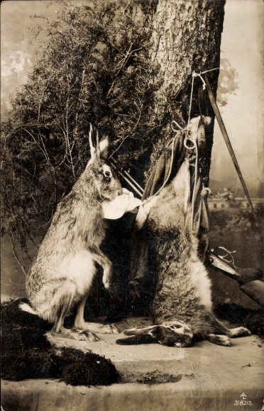 Foto Jagdmotiv, Hasen