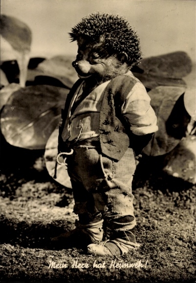 Ak Mecki der Igel, Mein Herz hat Heimweh!