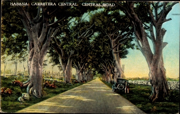 Ak Havana Havanna Habana Kuba, Allee mit Bäumen, Straße, Auto,  Karibik