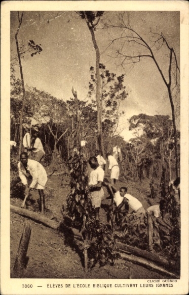 Ak Kpalimé Togo, Schüler der biblischen Schule, Yamsanbau, Togo