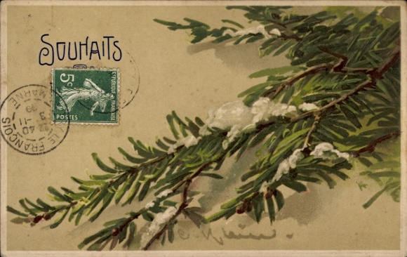 Präge Künstler Ak Klein, Catharina, Tannenzweig