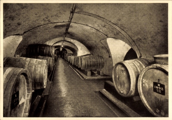 Ak Bingen am Rhein, Haus Fromm, Weingroßkellerei, Moselkeller