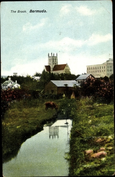 Ak Bermuda, The Brook